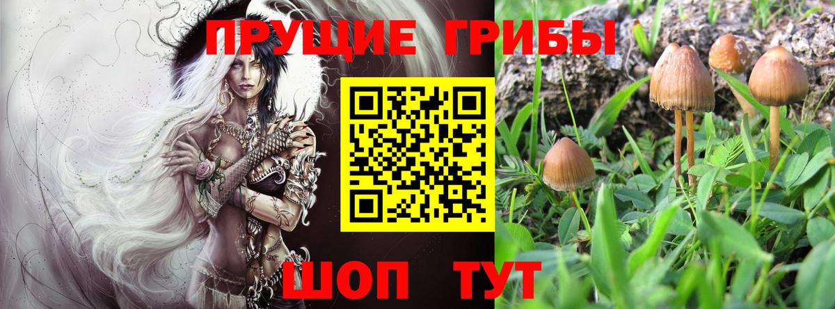 Галлюциногенные грибы GOLDEN TEACHER  Вход с VPN  Зеленокумск 