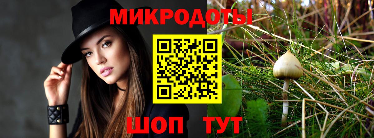 Галлюциногенные грибы Psilocybe Зеленокумск